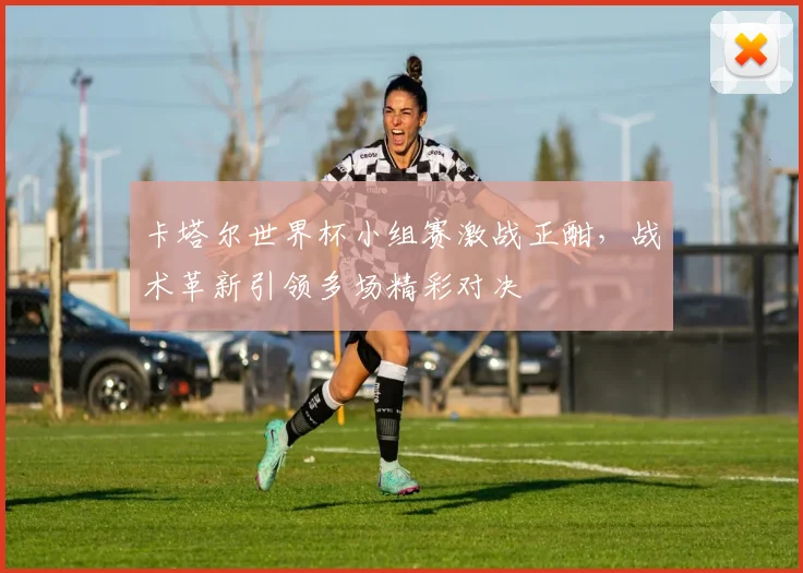 卡塔尔世界杯小组赛激战正酣，战术革新引领多场精彩对决